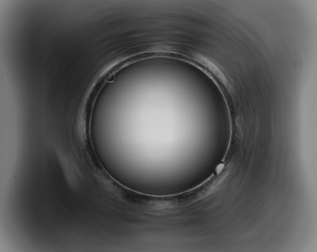 X0000099940931200805301214