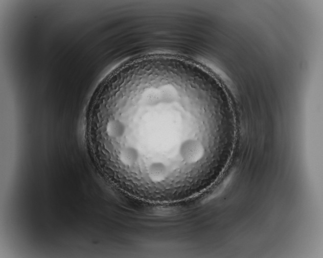 X0000099940933200805301214