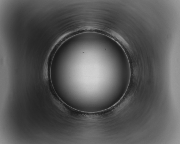X0000099940934200805301214