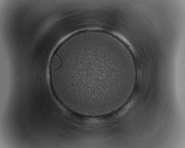 X0000099940935200805301214