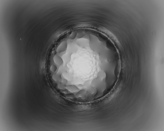 X0000099940937200805301214