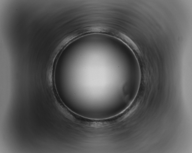 X0000099940938200805301214
