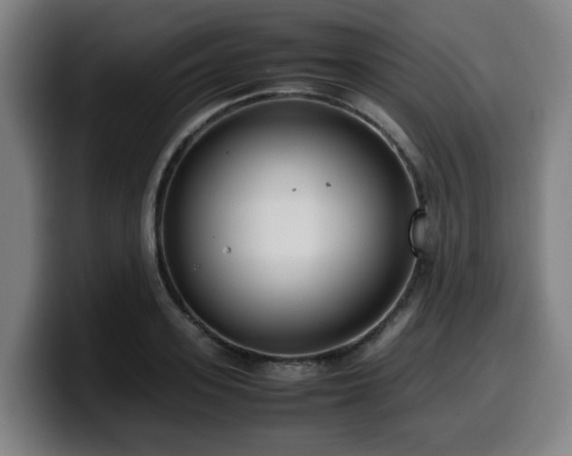 X0000099940939200805301214
