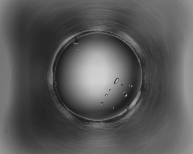 X0000099940940200805301214
