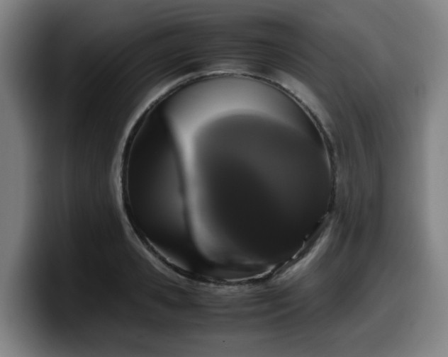X0000099940941200805301214