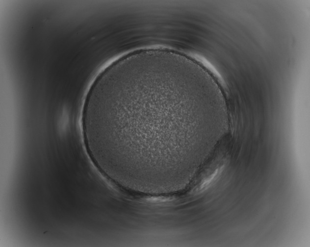 X0000099940943200805301214