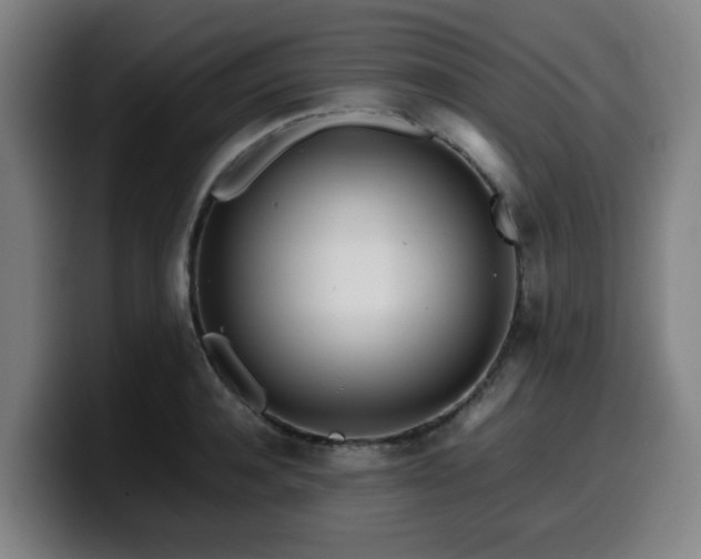 X0000099940944200805301214