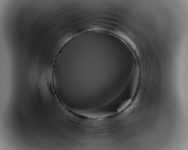 X0000099940945200805301214