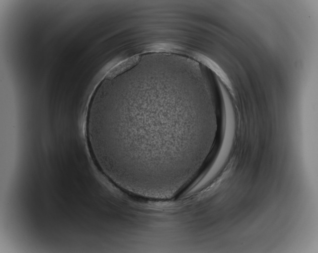 X0000099940946200805301214
