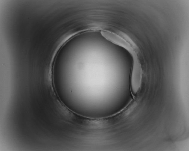 X0000099940948200805301214