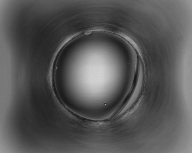 X0000099940949200805301214