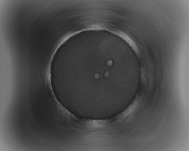 X0000099940950200805301214