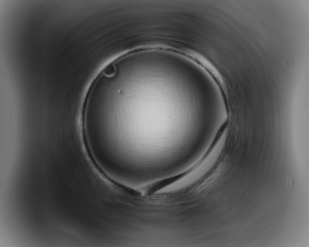 X0000099940951200805301214