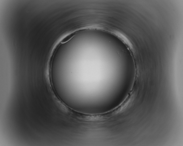 X0000099940952200805301214