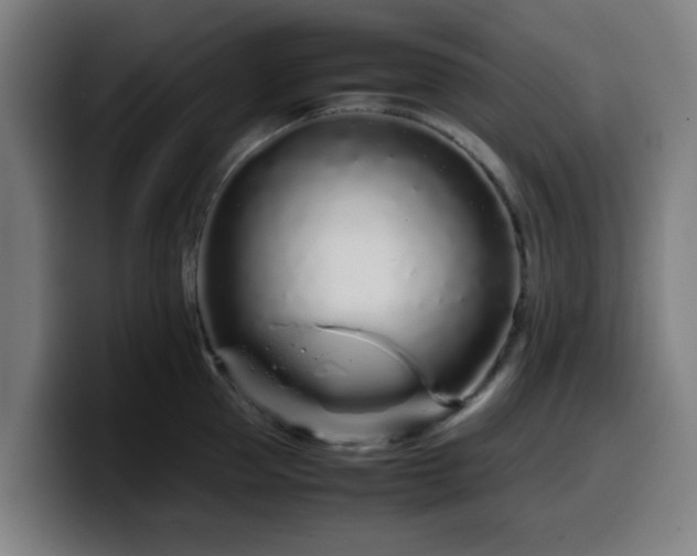 X0000099940953200805301214