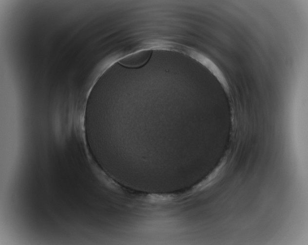X0000099940954200805301214