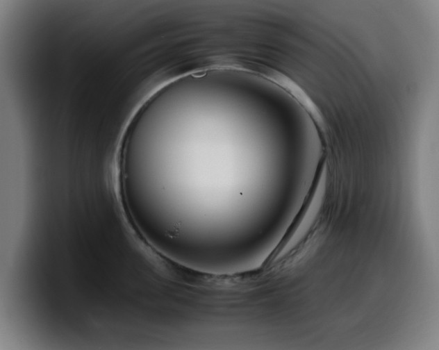 X0000099940955200805301214