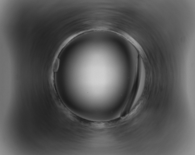 X0000099940956200805301214