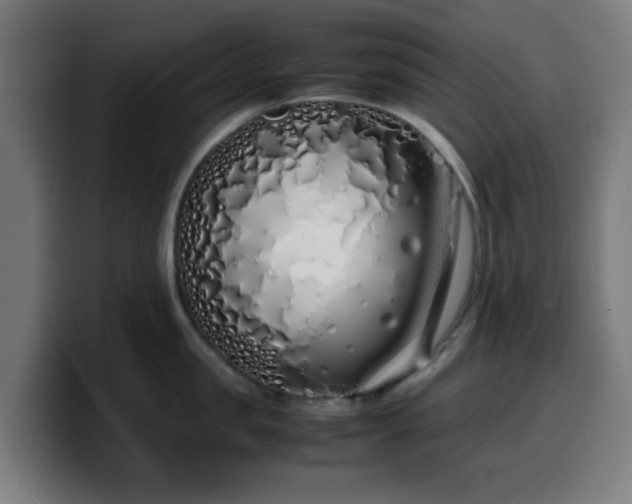 X0000099940957200805301214