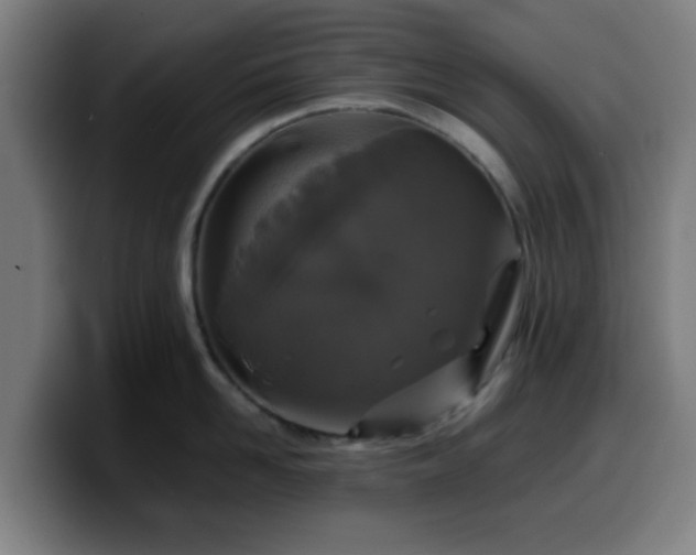 X0000099940958200805301214