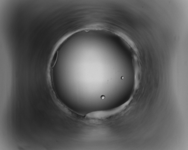 X0000099940960200805301215