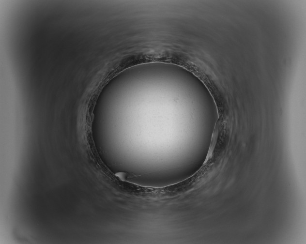 X0000099940961200805301214