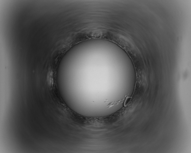 X0000099940962200805301214