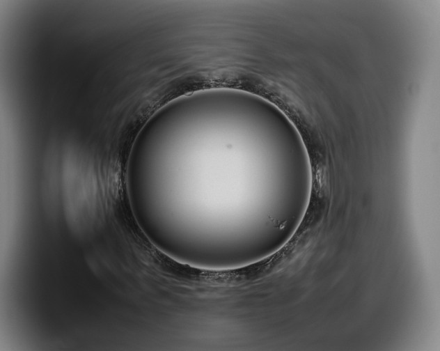 X0000099940963200805301214