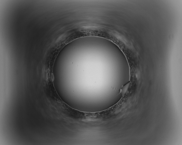 X0000099940965200805301214