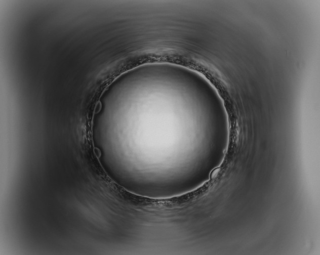 X0000099940966200805301214