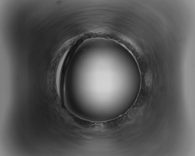 X0000099940968200805301214