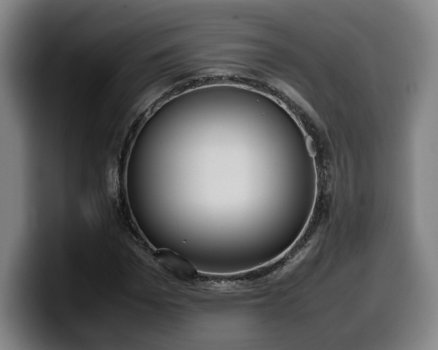 X0000099940969200805301214