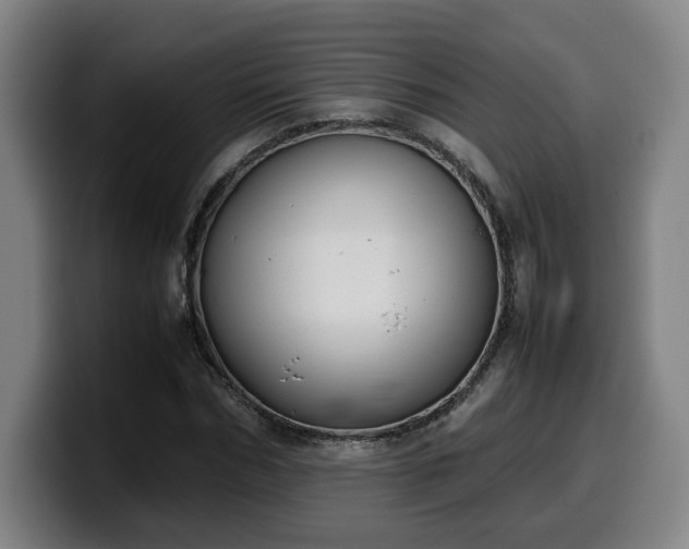 X0000099940970200805301214