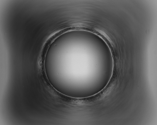 X0000099940971200805301214