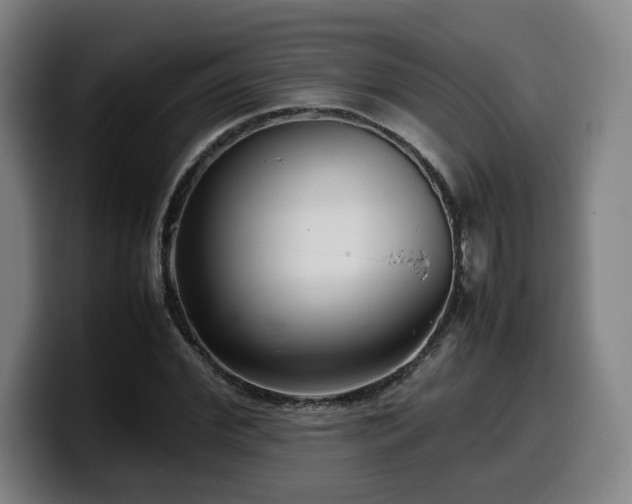 X0000099940972200805301214