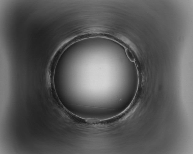 X0000099940973200805301214