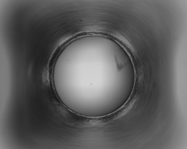 X0000099940974200805301214