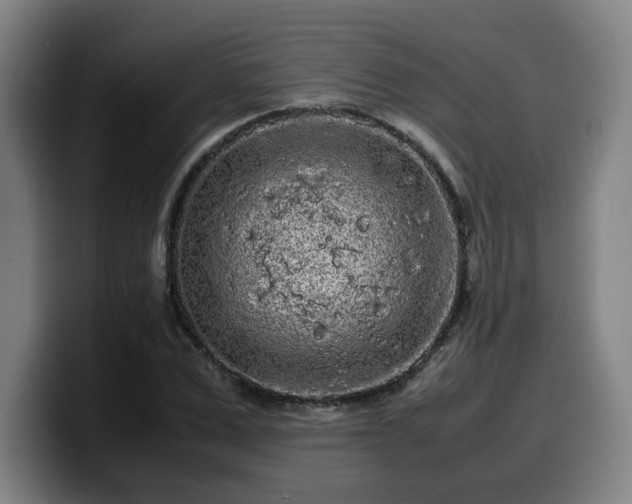 X0000099940975200805301214