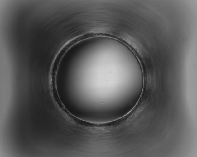 X0000099940976200805301214