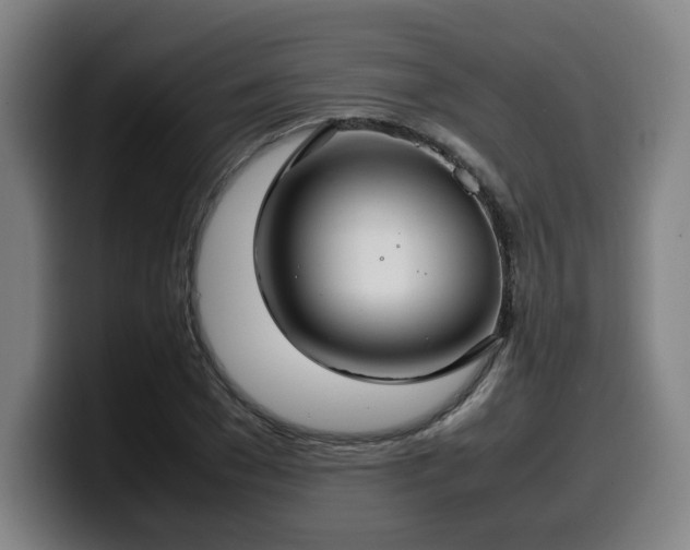 X0000099940977200805301214