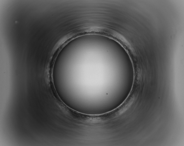 X0000099940978200805301214