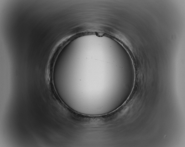 X0000099940979200805301214