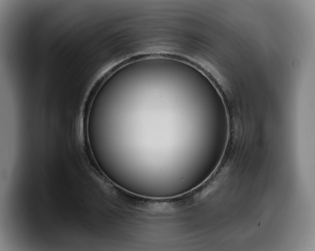 X0000099940982200805301214