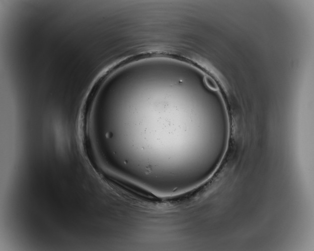 X0000099940983200805301214