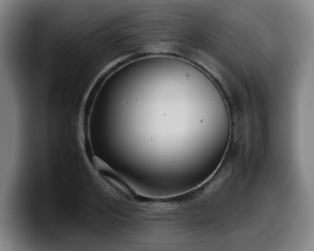 X0000099940984200805301214