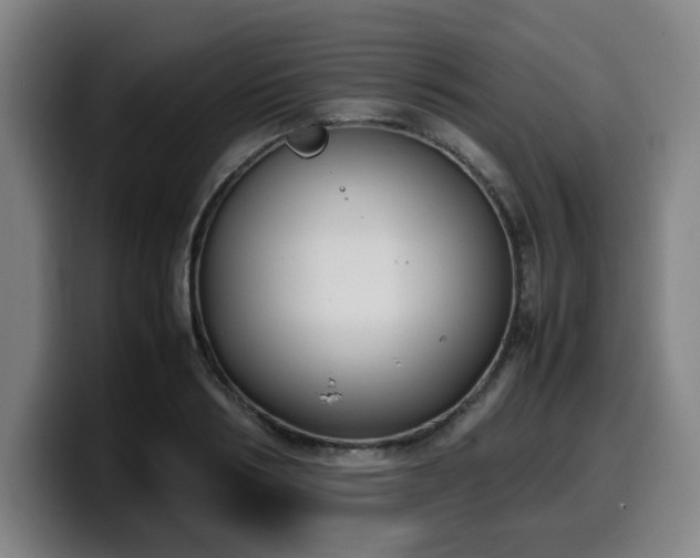 X0000099940986200805301214