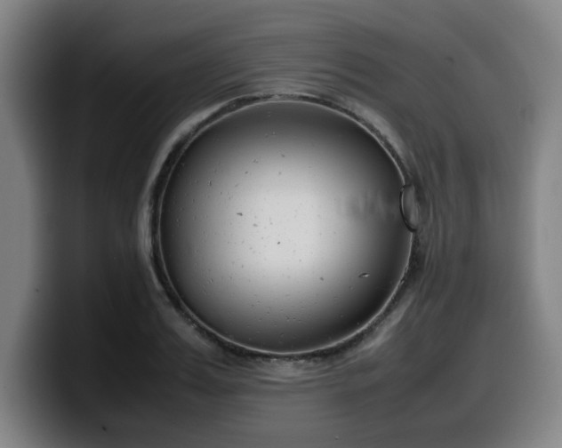 X0000099940987200805301214