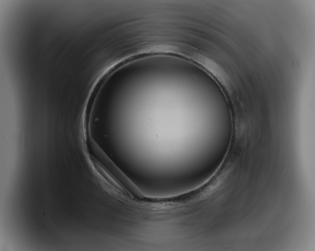 X0000099940988200805301214