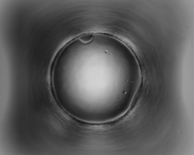 X0000099940990200805301214