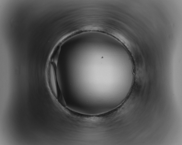 X0000099940992200805301214